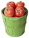 tomatoes